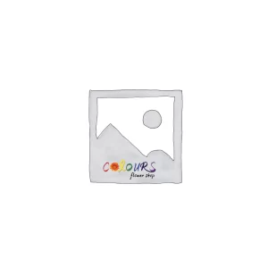 cfs-placeholder