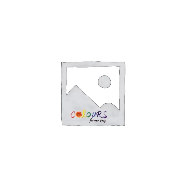cfs-placeholder